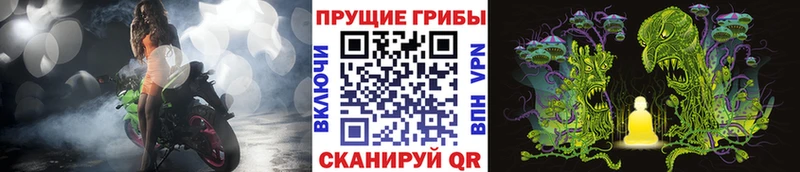 Псилоцибиновые грибы Magic Shrooms  Купить  Нижнекамск 